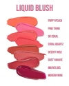ULTIMATE LIQUID BLUSH AND TINTED LUXE JOINT PR BOX - Imagen 3