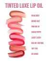 ULTIMATE LIQUID BLUSH AND TINTED LUXE JOINT PR BOX - Imagen 4